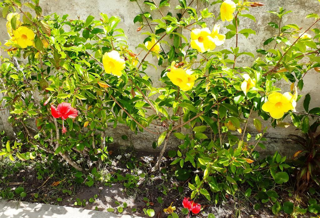 Pousada Canto Da Ilha Ilha Comprida Exterior photo